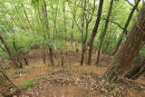 美作 小原山王山城の写真