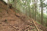 美作 小原山王山城の写真