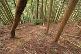 美作 小原山王山城の写真