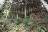 美作 篠山城の写真