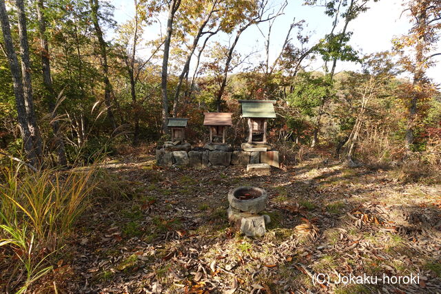 美作 (仮)新屋城の写真