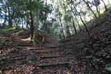 美作 高田城出丸(太鼓山)の写真