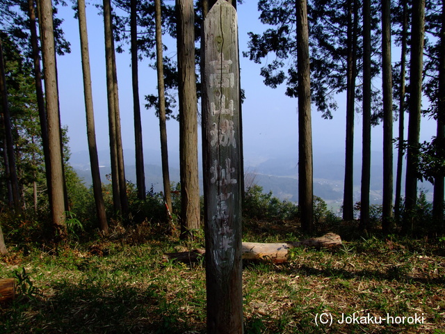 美作 高山城(津山市)の写真