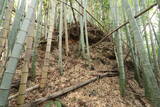 美作 亀山城の写真