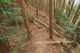 美作 月田城の写真