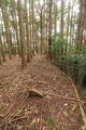 美作 月田城の写真