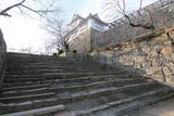 美作 津山城の写真