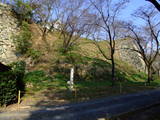 美作 津山城の写真