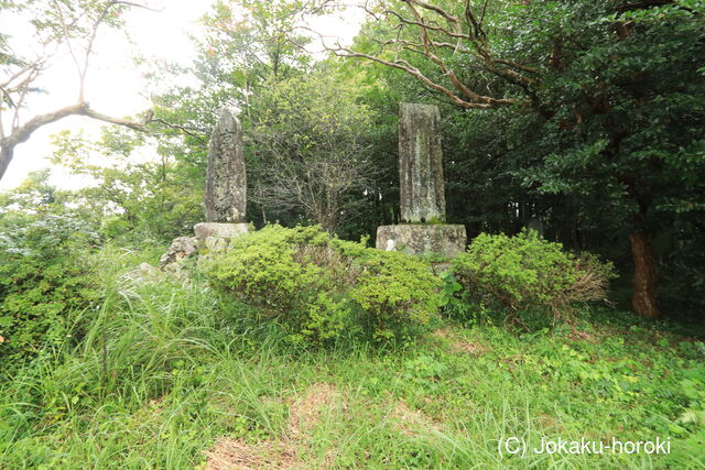 美作 宮山城(植月)の写真