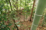 美作 宮山城(植月)の写真