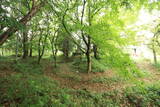 美作 宮山城(植月)の写真