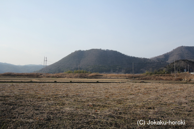 美作 鷲山城の写真