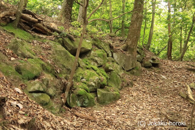 美濃 阿寺城の写真