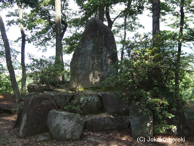 美濃 明智長山城の写真