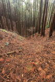 美濃 菩提山城の写真