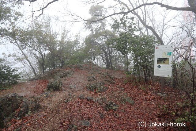 美濃 瑞龍寺山砦の写真