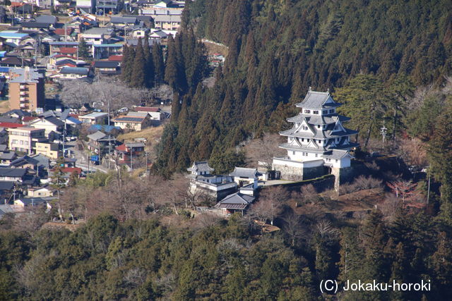 美濃 郡上八幡城の写真