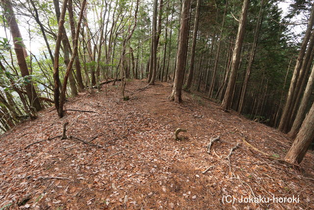 美濃 滝山の陣所の写真