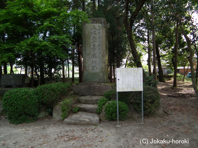 美濃 一日市場館の写真