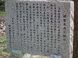 美濃 一日市場館の写真