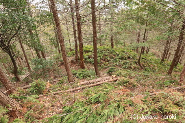 美濃 法林寺城の写真