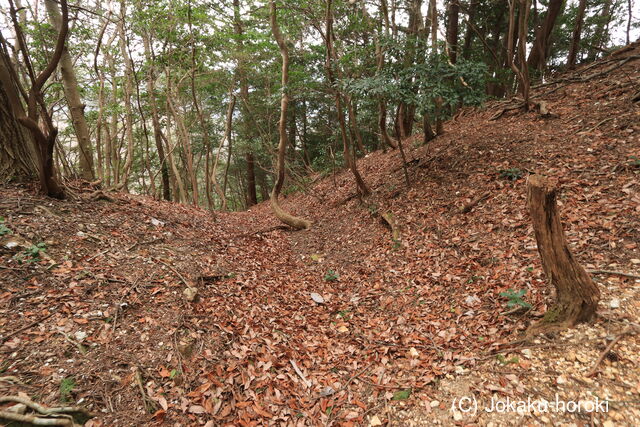 美濃 祐向山城の写真