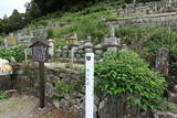 美濃 今須城の写真
