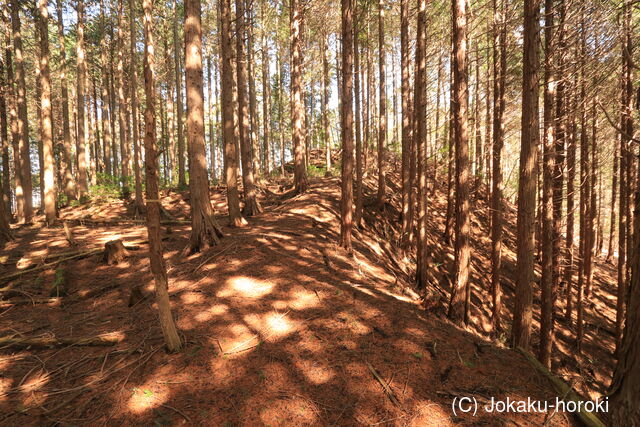 美濃 釜屋城の写真