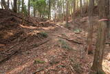 美濃 釜屋城の写真