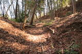 美濃 釜屋城の写真