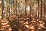 美濃 釜屋城の写真