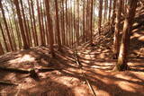 美濃 釜屋城の写真