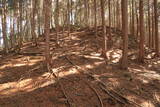 美濃 釜屋城の写真