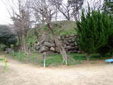 美濃 加納城の写真