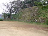 美濃 加納城の写真