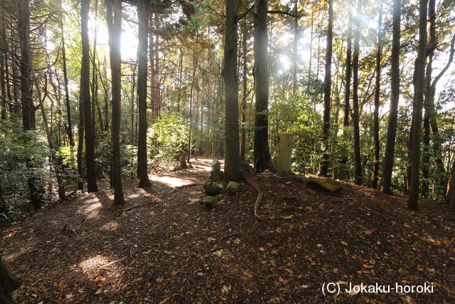 美濃 小原城(御嵩町)の写真