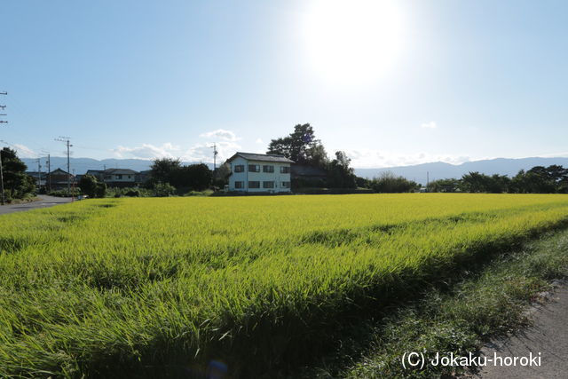 美濃 西島城の写真