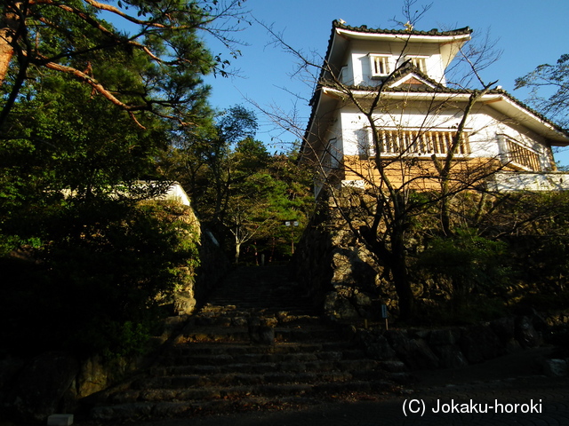 美濃 小倉山城の写真