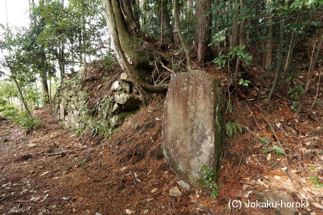 美濃 大洞城の写真