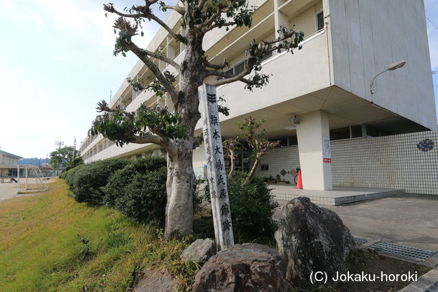 美濃 旗本大嶋氏居館の写真