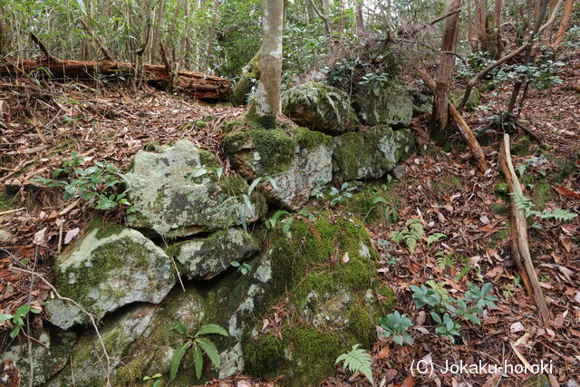 美濃 小野城(関市)の写真