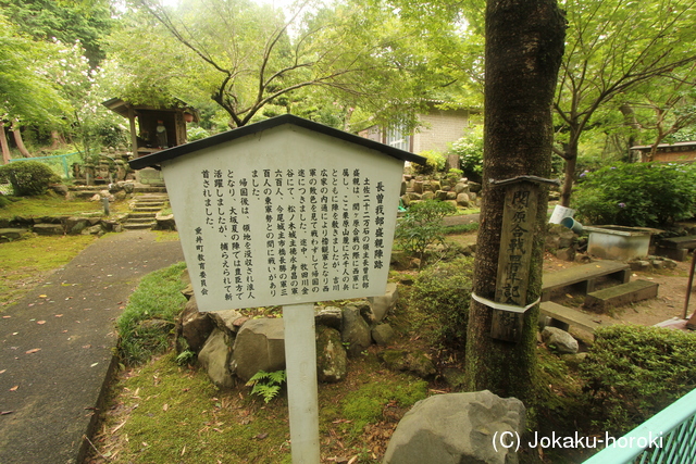 美濃 長宗我部盛親陣(西軍)の写真