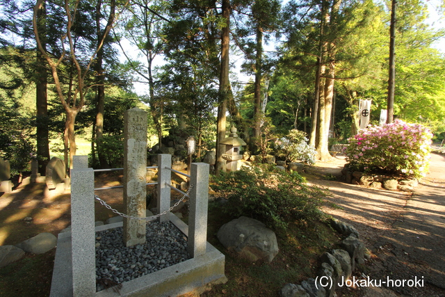 美濃 島津義弘陣(西軍)の写真