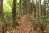 美濃 水晶山陣(山頂部)の写真