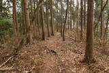 美濃 水晶山陣(山頂部)の写真