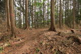 美濃 水晶山陣(山頂部)の写真