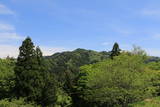 美濃 水晶山陣(山頂部)の写真