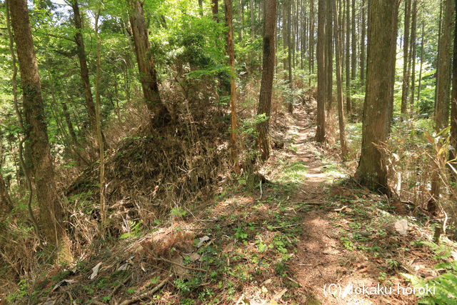 美濃 水晶山陣(西尾根部)の写真