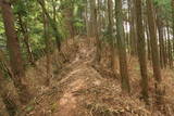 美濃 水晶山陣(西尾根部)の写真