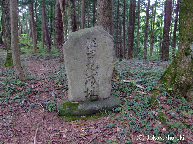 美濃 鷲見城の写真